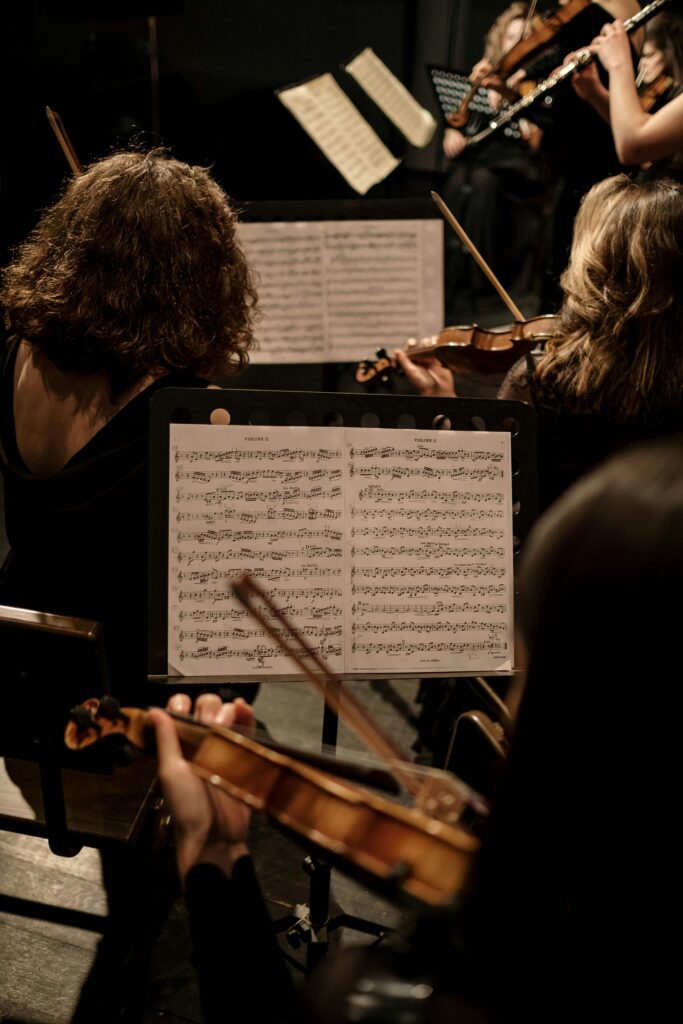 Orchestra in concert.