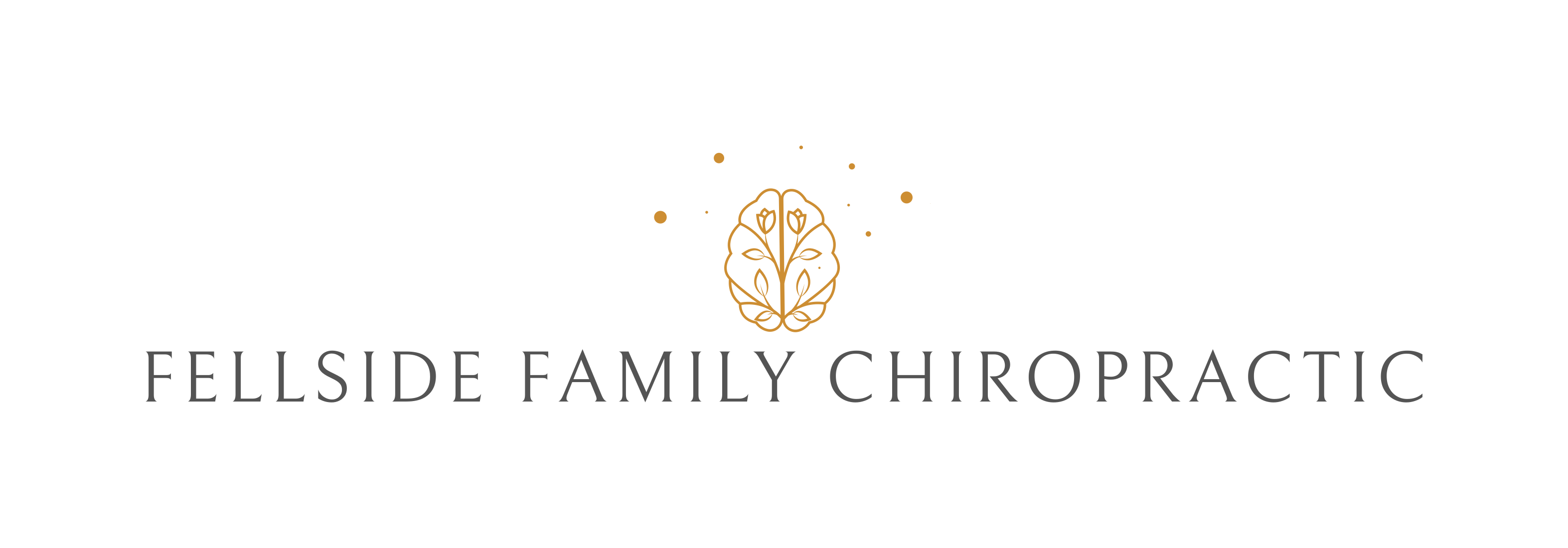 fellside family chiropractic